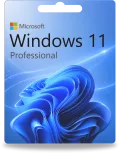Windows 11 Professional